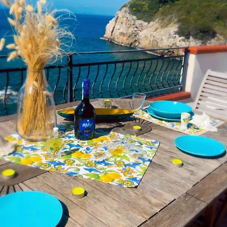 House Dream On The Sea *